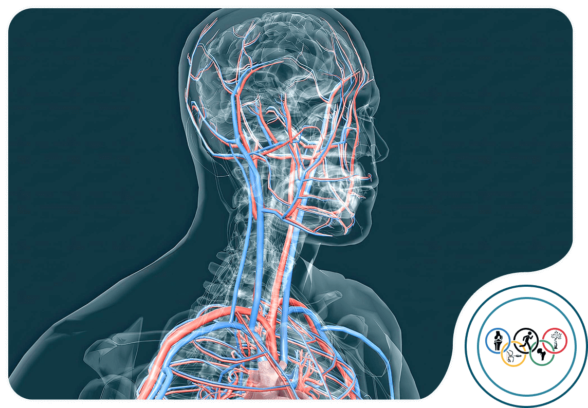 چند کلامی از دکتر محمد روحی